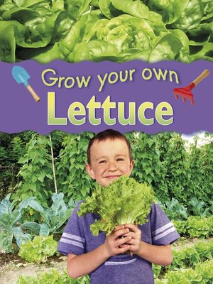 cover image of Lettuce